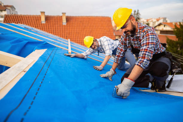 Best Metal Roofing Contractor  in Moosup, CT
