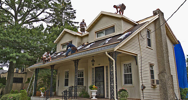 Best Storm Damage Roof Repair  in Moosup, CT